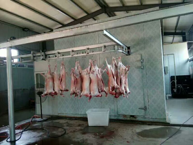 羊胴体是带骨绵羊肉