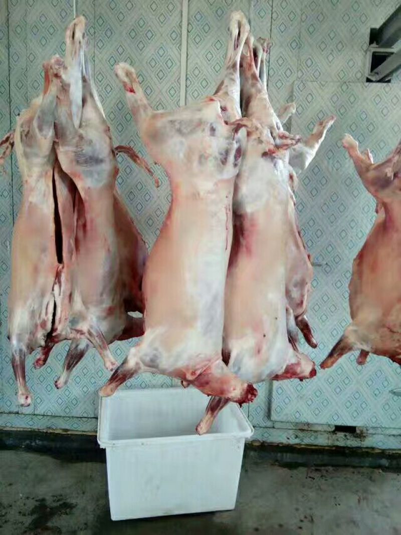 羊胴体是带骨绵羊肉
