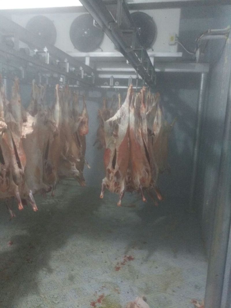 羊胴体是带骨绵羊肉