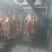 羊胴体是带骨绵羊肉