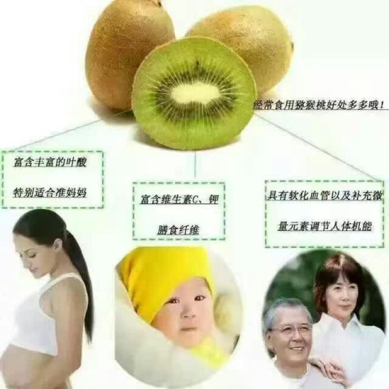 徐香猕猴桃