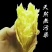 9斤陕西临潼板栗薯农家白心地瓜番薯批发山芋香薯天目山