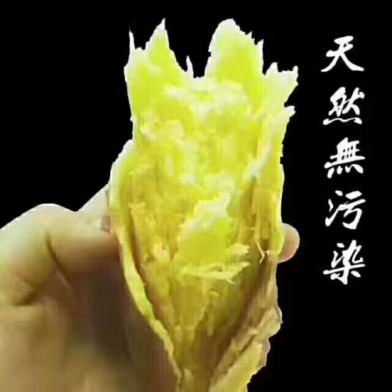 9斤陕西临潼板栗薯农家白心地瓜番薯批发山芋香薯天目山