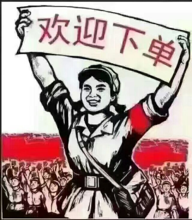 9斤陕西临潼板栗薯农家白心地瓜番薯批发山芋香薯天目山