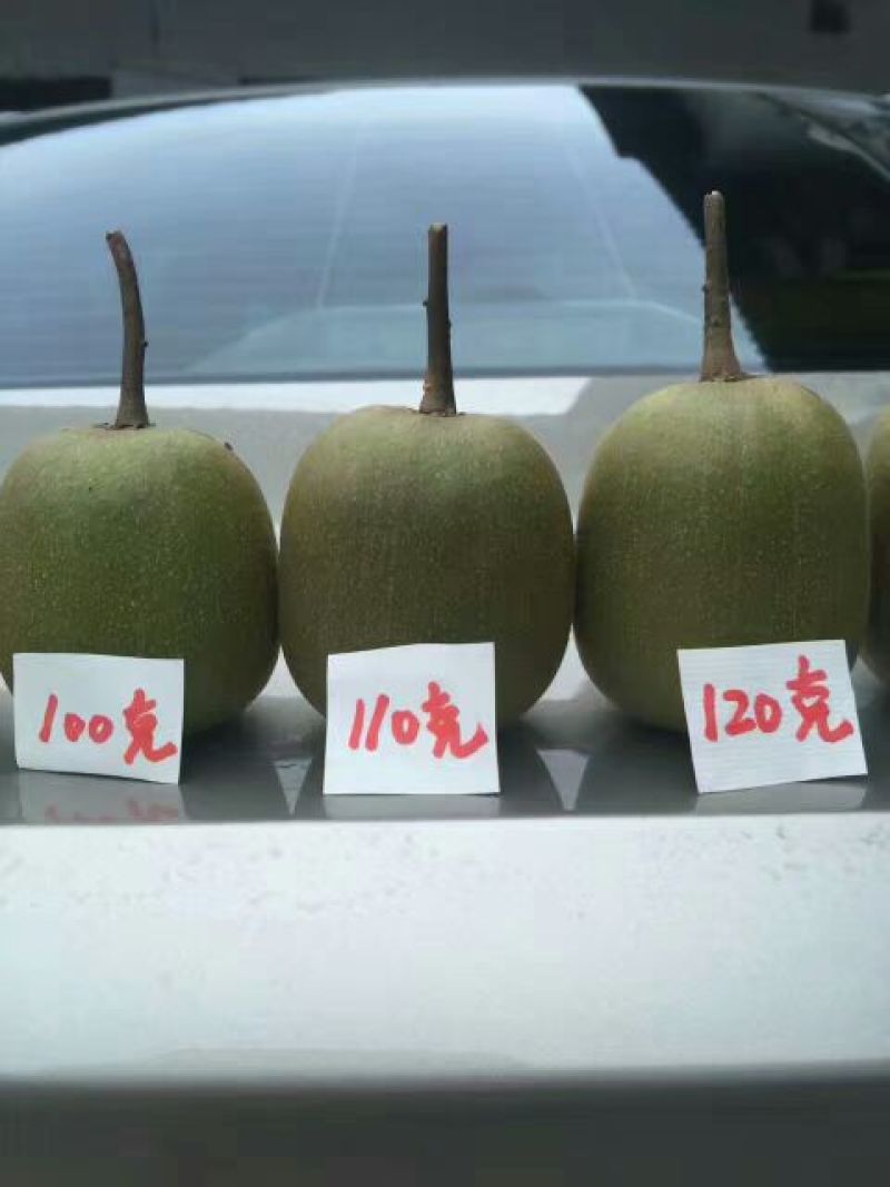 蒲江红心猕猴桃各规格一件代发
