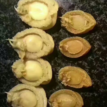 珍珠鲍食用