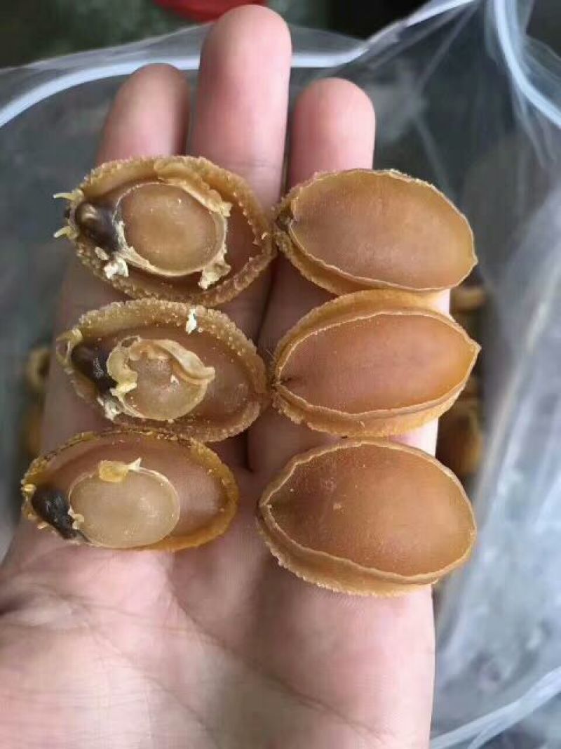 珍珠鲍食用