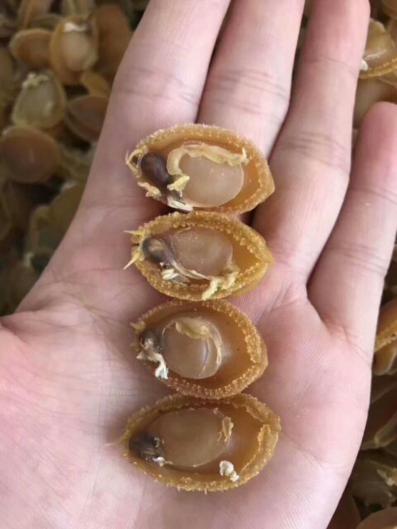 珍珠鲍食用