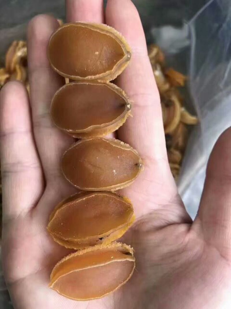 珍珠鲍食用