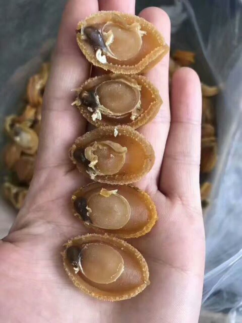 珍珠鲍食用