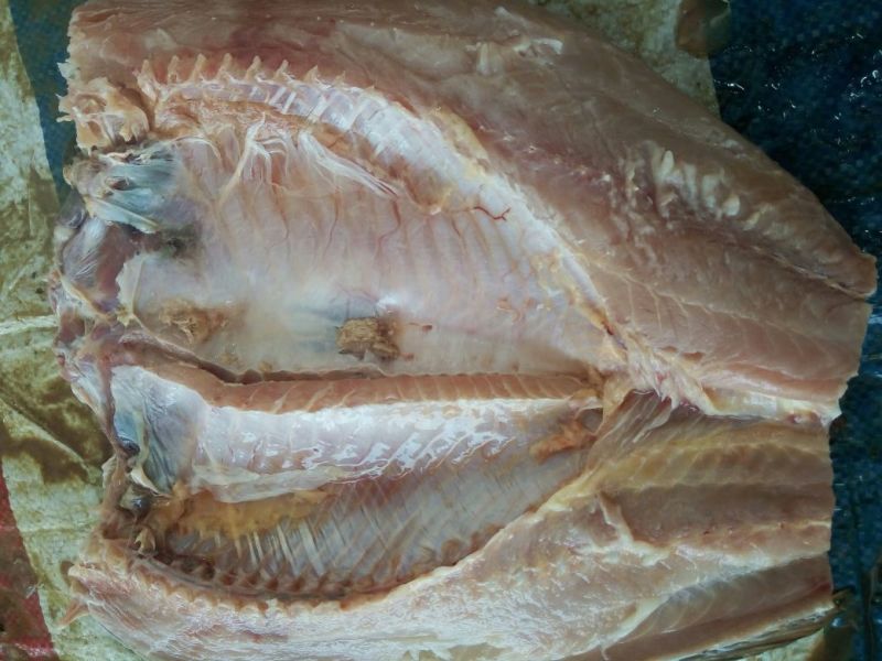 河鲤鱼食用1~2公斤