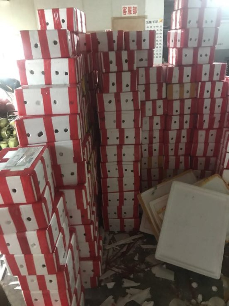 青柠檬1.6~2两