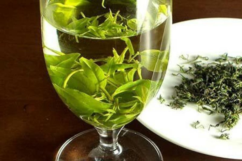 苦丁茶