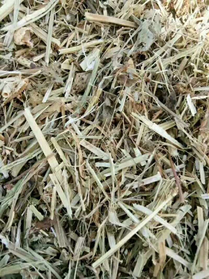 花生秧压块专业加工常年供货