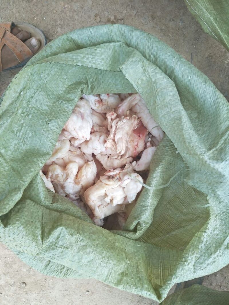 羊油
