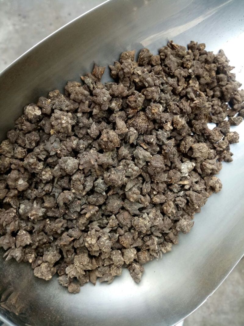猫爪草水洗三遍干货2斤起包邮量大从优