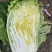 黄心白菜345斤净菜
