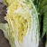 黄心白菜345斤净菜