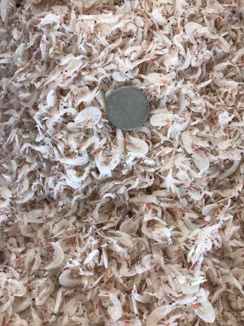 虾皮二级