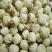 莲子壳