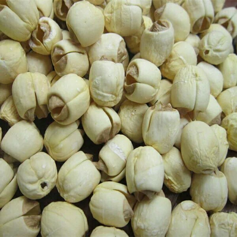 莲子壳