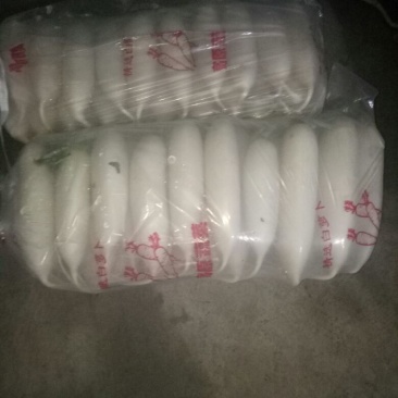 白萝卜1.5~2斤起，打冷直发，靓货
