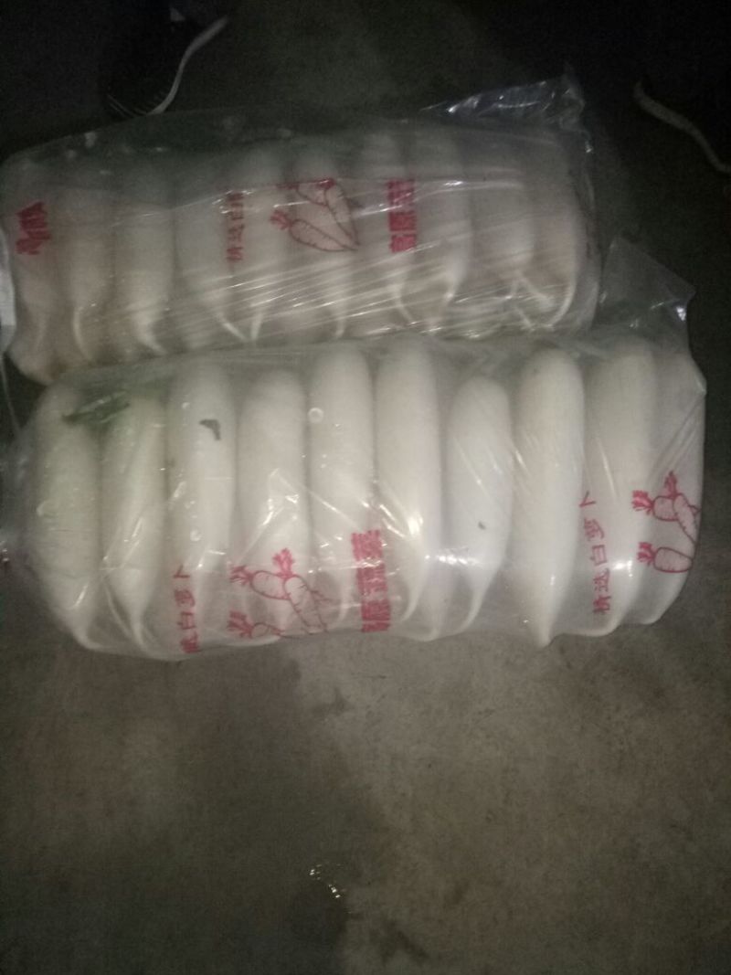 白萝卜1.5~2斤起，打冷直发，靓货