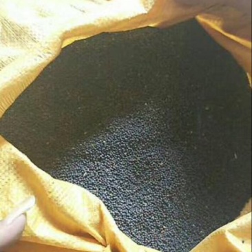 油菜籽1级