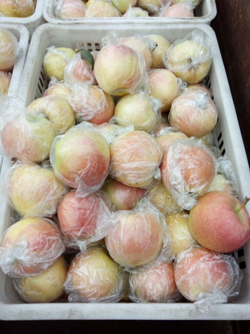 美八苹果75mm以上膜袋