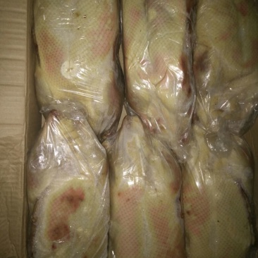 白条鸭