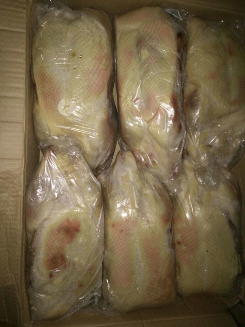 白条鸭