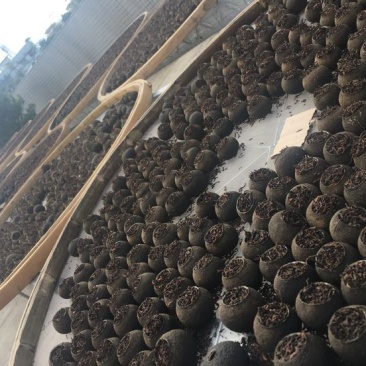 柑普茶一级