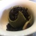 柑普茶一级