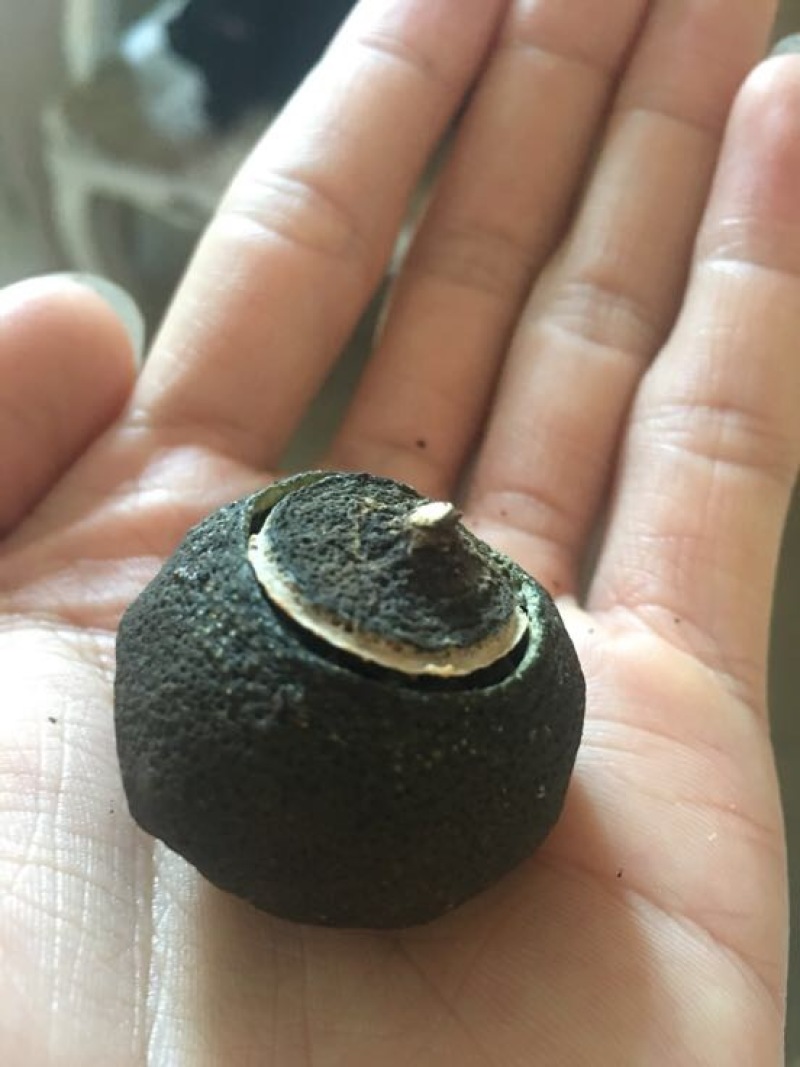 柑普茶一级