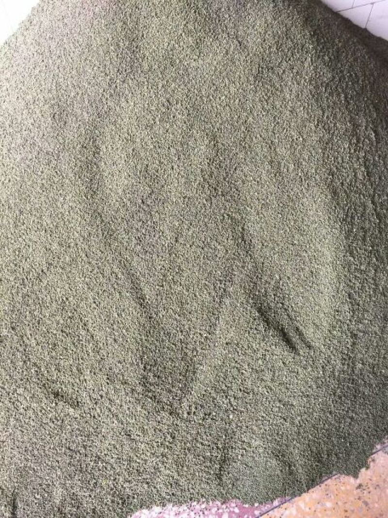 吴茱萸中花吴茱萸苗(茶辣苗)江西中花吴茱萸扦插苗