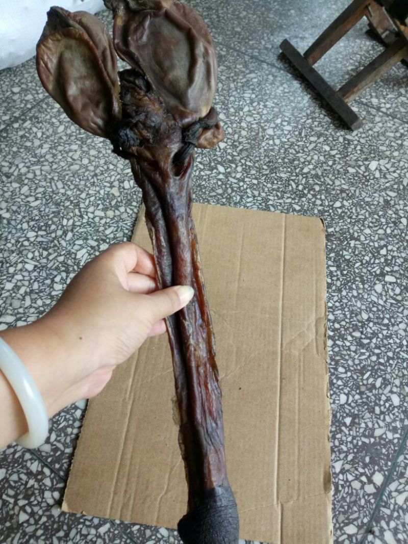 地道驴鞭干货无硫***药食同源2支起包邮