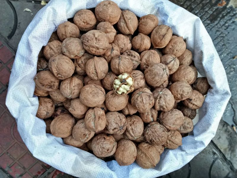 核桃去皮湿