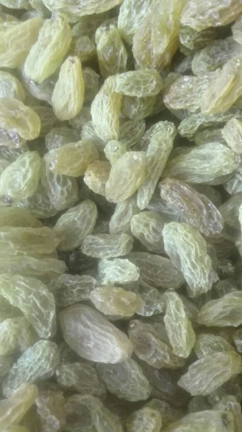 葡萄干无核一级