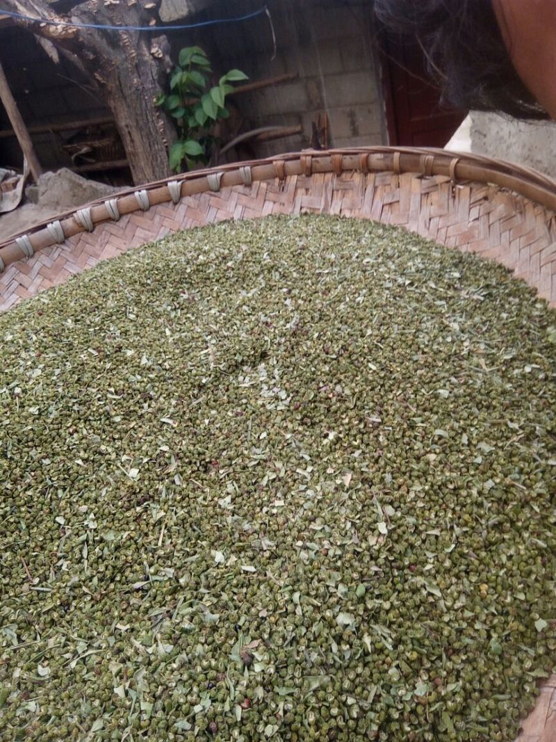九叶青花椒特级干