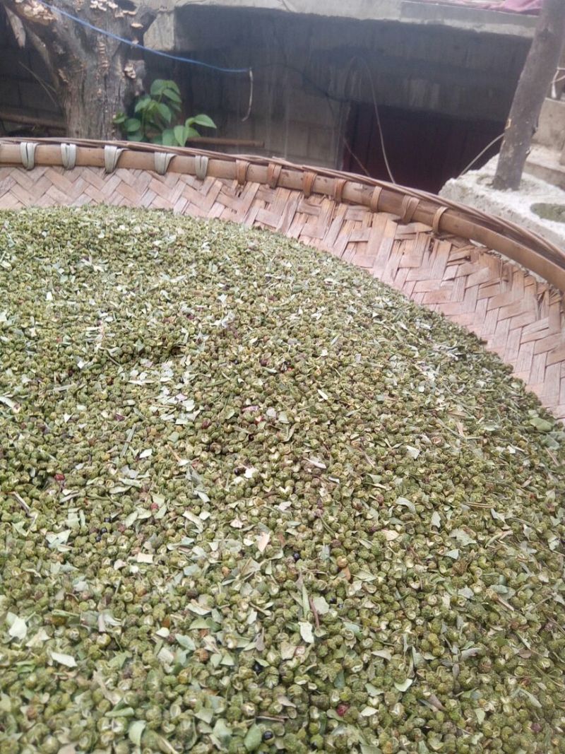 九叶青花椒特级干