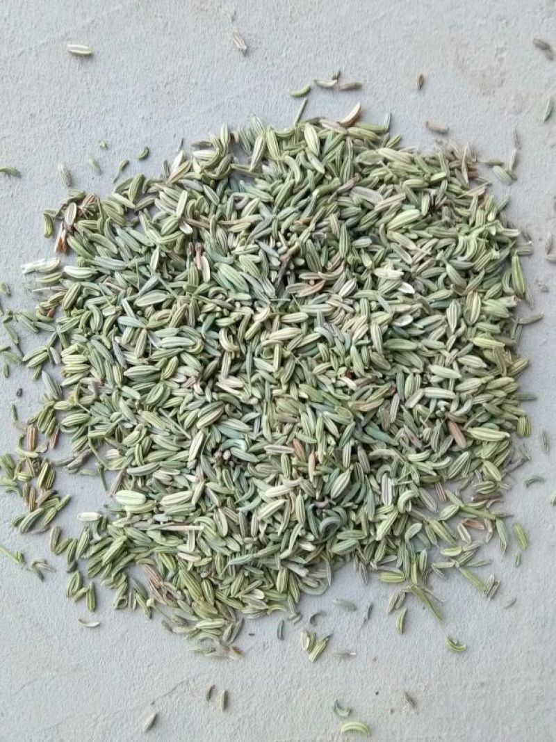 孜然