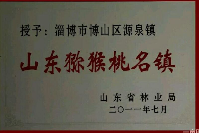 碧玉猕猴桃