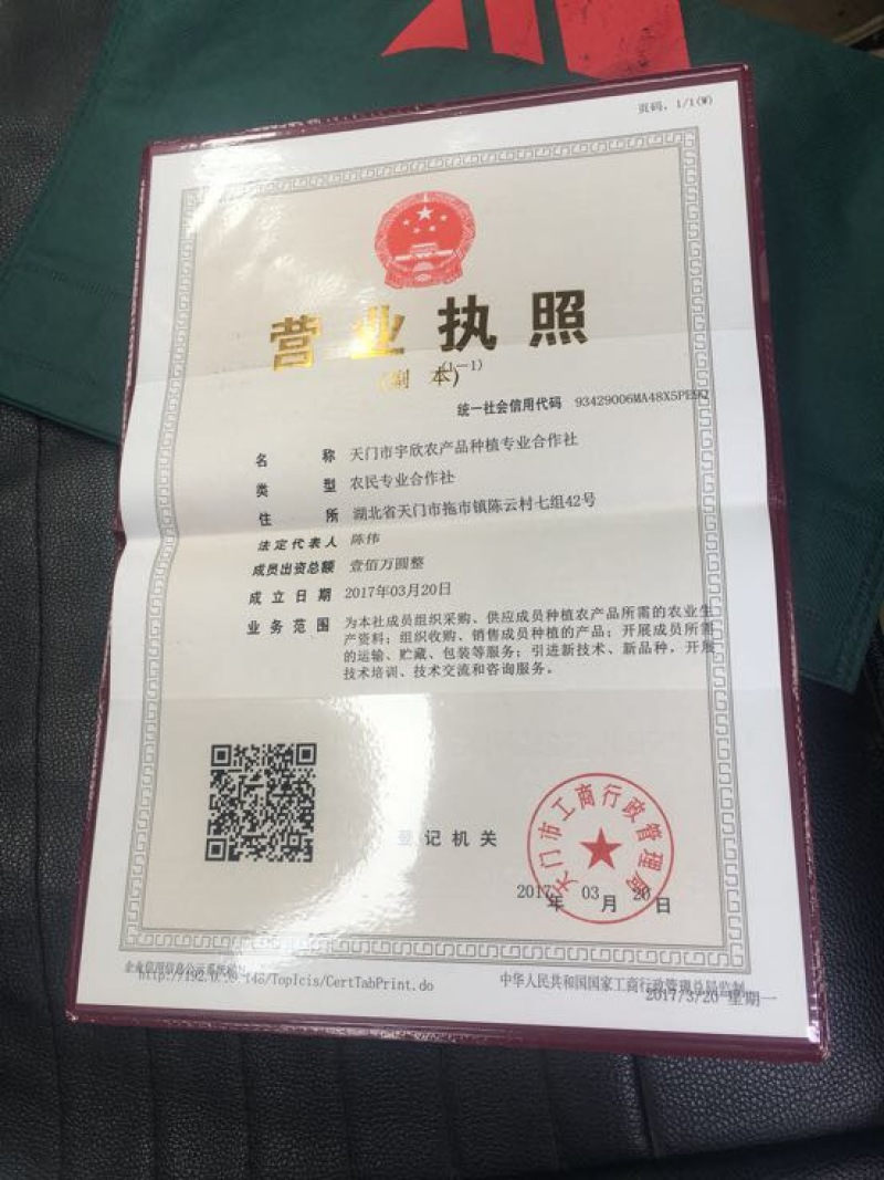 凉薯500g以上质优价廉