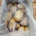 荷兰十五土豆精品3两以上