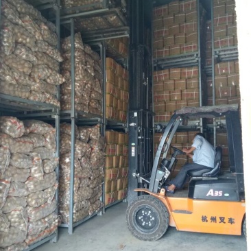 荷兰十五土豆精品3两以上