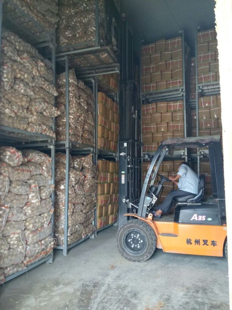 荷兰十五土豆精品3两以上