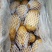 荷兰十五土豆精品3两以上