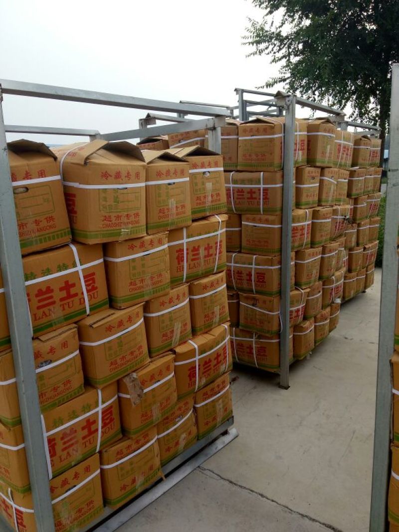 荷兰十五土豆精品3两以上