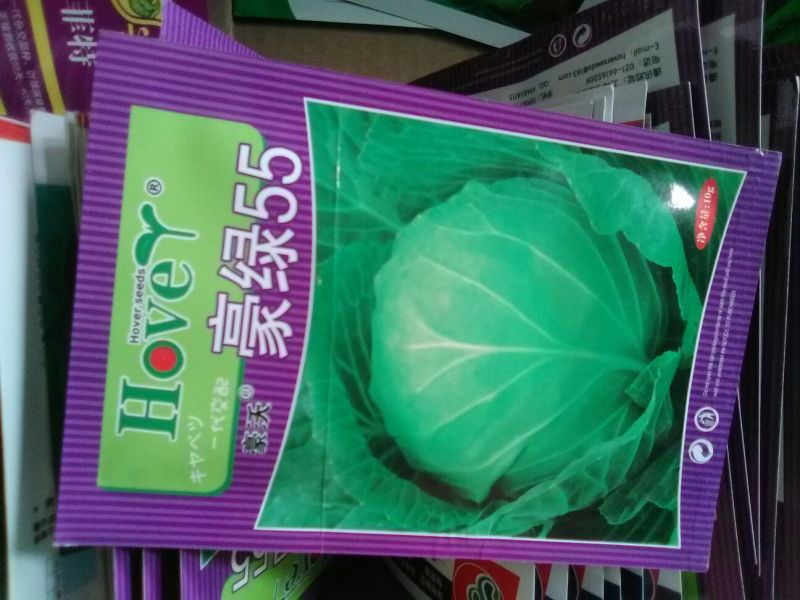 甘蓝种子