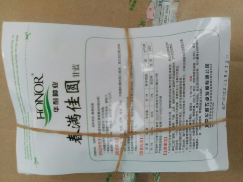 甘蓝种子
